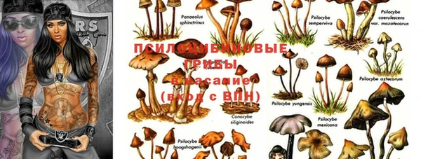 COCAINE Нефтекумск