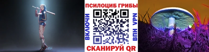 Галлюциногенные грибы мицелий  хочу наркоту  Покров 