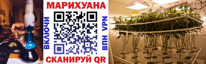 как найти наркотики  Покров  Бошки марихуана SATIVA & INDICA 